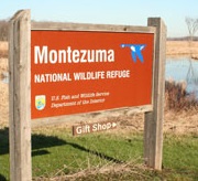 Montezuma National Wildlife Refuge